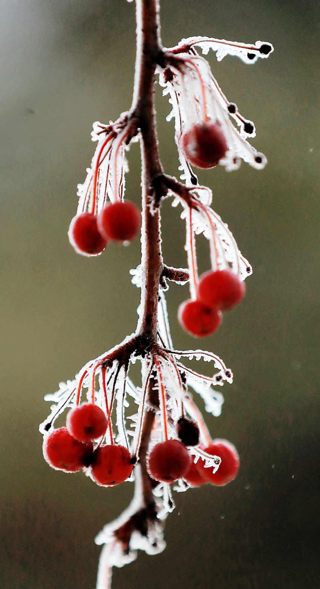 021219_IcyWeather002_bjs.JPG